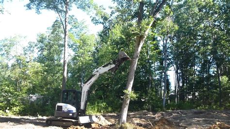 pushing trees with mini excavator|mini excavators for tree removal.